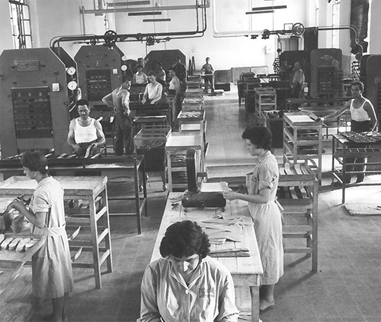Cavaso del Tomba plant